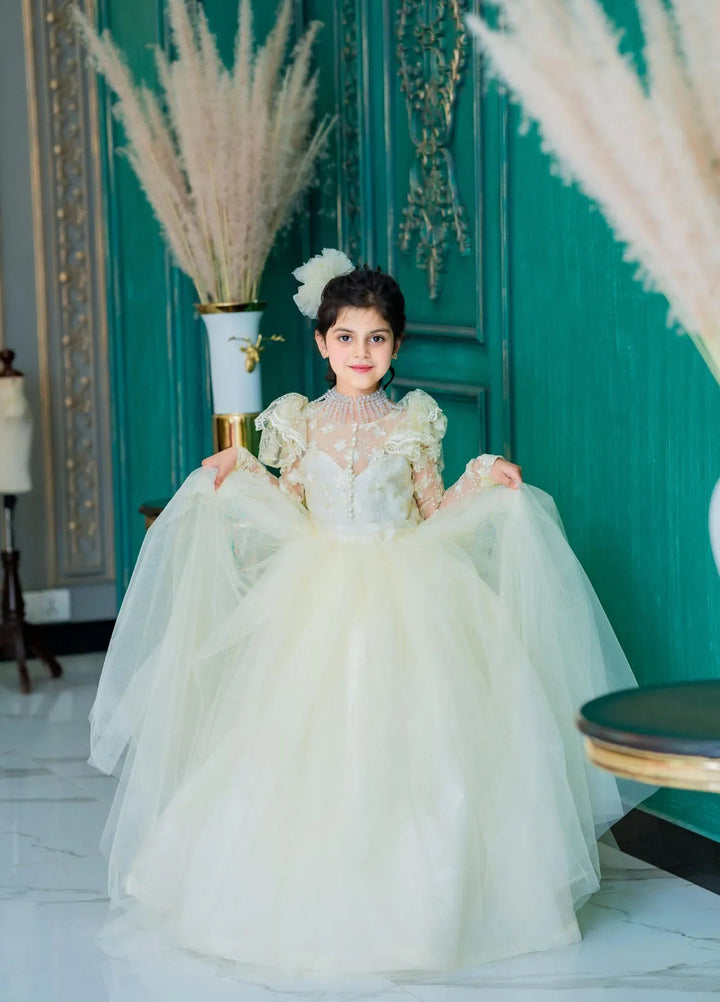 Fashion With Style Hub Pret Plain Net 1 Piece Whimsi Frock