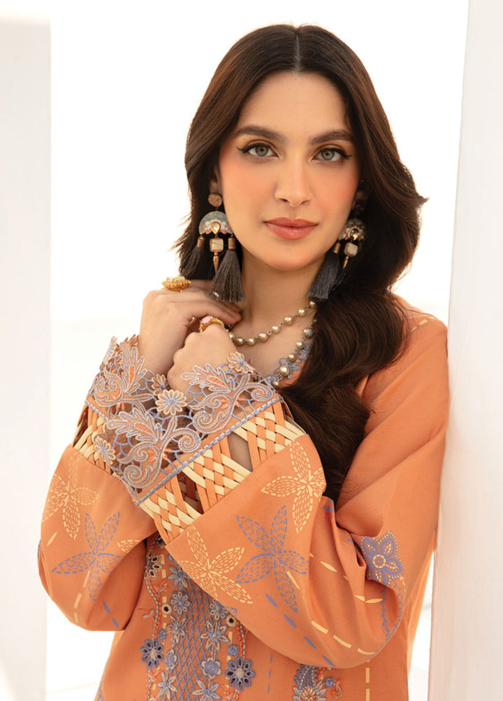 Florance By Rang Rasiya Embroidered Lawn Suits Unstitched 3 Piece RR24F D10 Cinnamon - Premium Collection