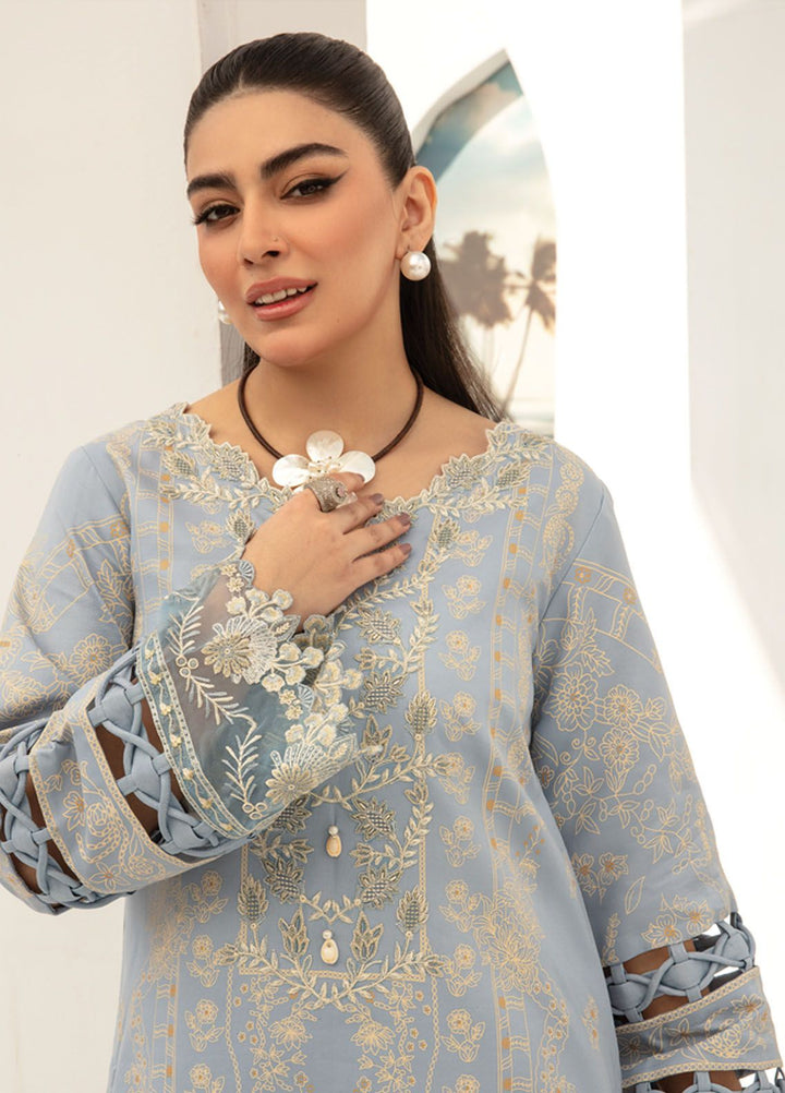 Florance By Rang Rasiya Embroidered Lawn Suits Unstitched 3 Piece RR24F D9 Mellow - Premium Collection