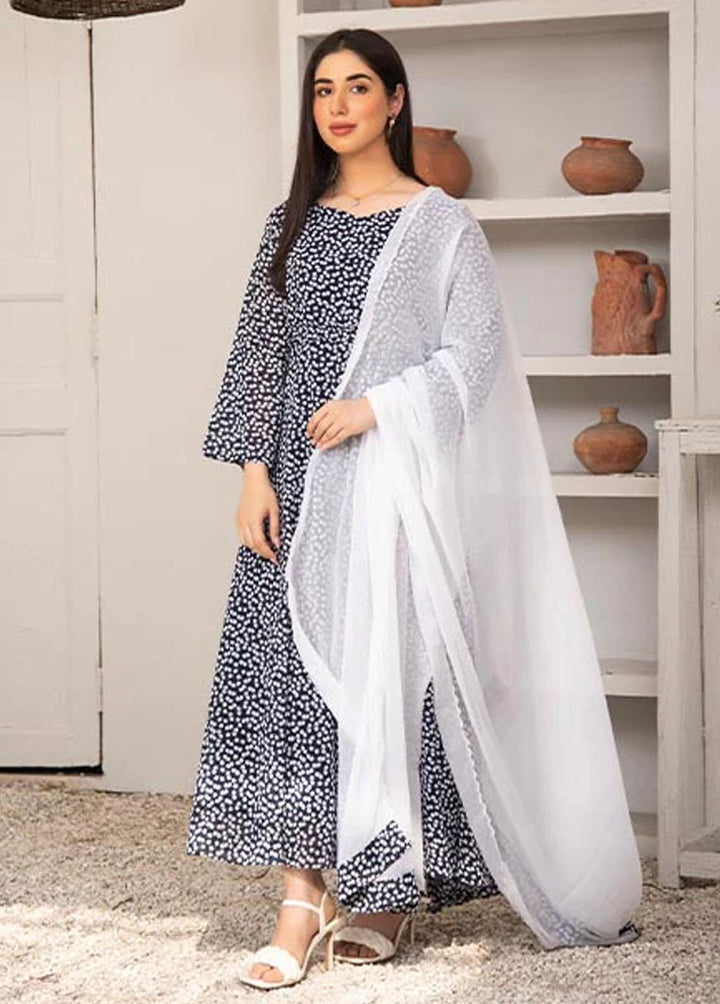 Nazmina Pret Printed Chiffon 2 Piece NZ23F FRT-06 Pearl Shine