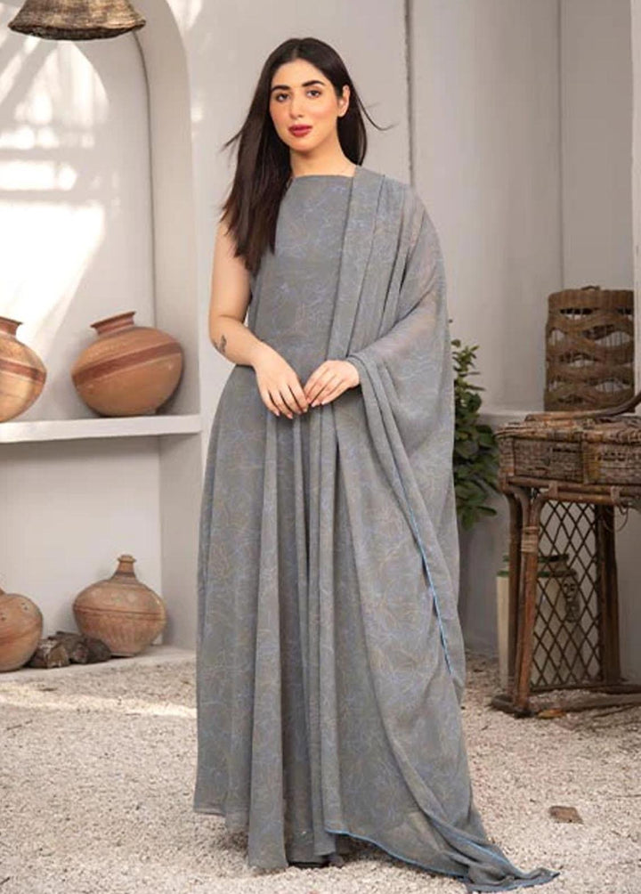 Nazmina Pret Printed Chiffon 2 Piece NZ23F FRT-07 Granite Dress