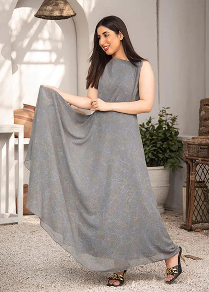 Nazmina Pret Printed Chiffon 2 Piece NZ23F FRT-07 Granite Dress