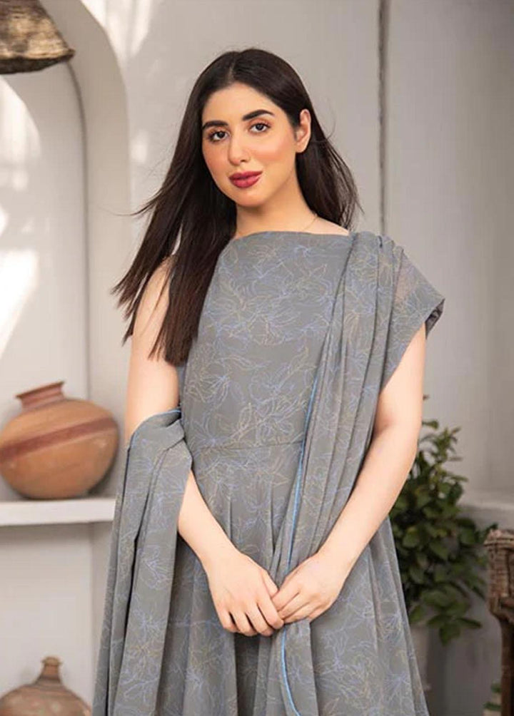 Nazmina Pret Printed Chiffon 2 Piece NZ23F FRT-07 Granite Dress