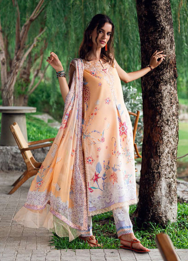 Garden Veil by Roheenaz Embroidered Lawn Suits Unstitched 3 Piece RN25GV D-02 B Coral Whim - Summer Collection