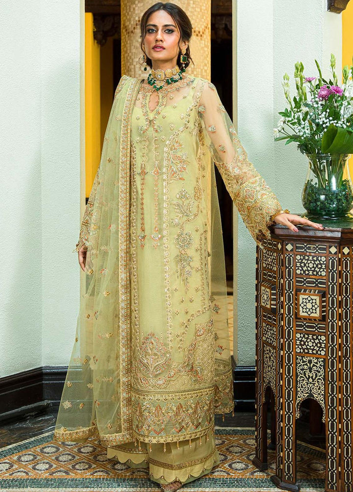 Glossier By AIK Atelier Embroidered Net Suits Unstitched 3 Piece AIK23GL Look-05 - Festive Collection