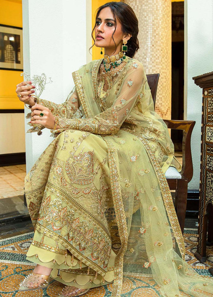 Glossier By AIK Atelier Embroidered Net Suits Unstitched 3 Piece AIK23GL Look-05 - Festive Collection