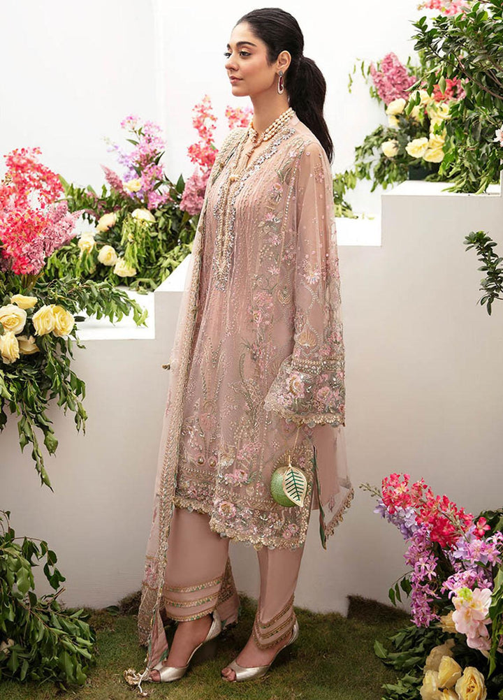 Gossamer By Zaha Embroidered Net Suits Unstitched 4 Piece ZKS23G ZC23-02 Derya - Luxury Collection