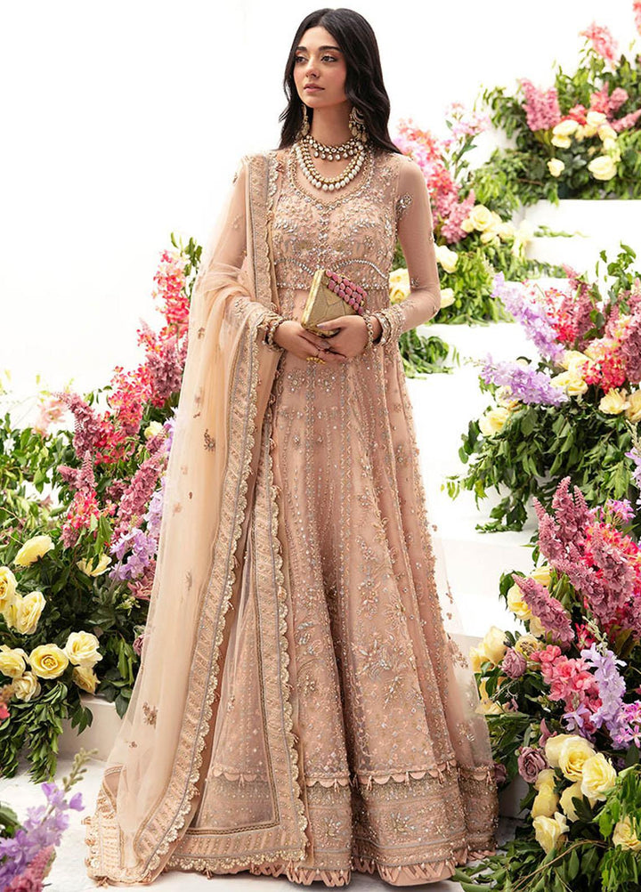 Gossamer By Zaha Embroidered Net Suits Unstitched 4 Piece ZKS23G ZC23-04 Neda - Luxury Collection