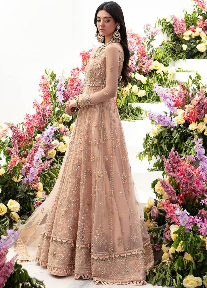 Gossamer By Zaha Embroidered Net Suits Unstitched 4 Piece ZKS23G ZC23-04 Neda - Luxury Collection