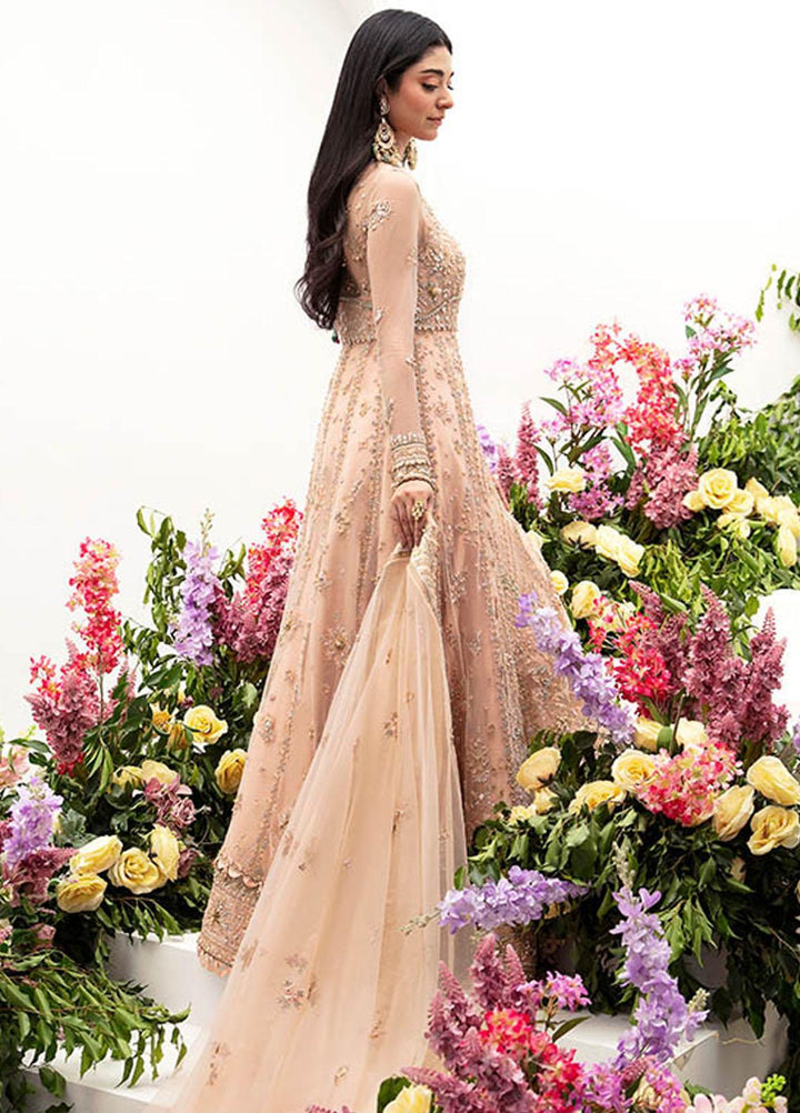 Gossamer By Zaha Embroidered Net Suits Unstitched 4 Piece ZKS23G ZC23-04 Neda - Luxury Collection