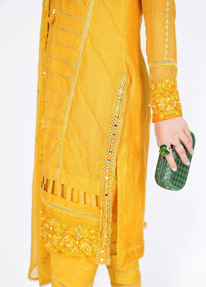 Diva Pret Luxury Pret  Cotton Net 3 Piece DV22GLN Pukhraj