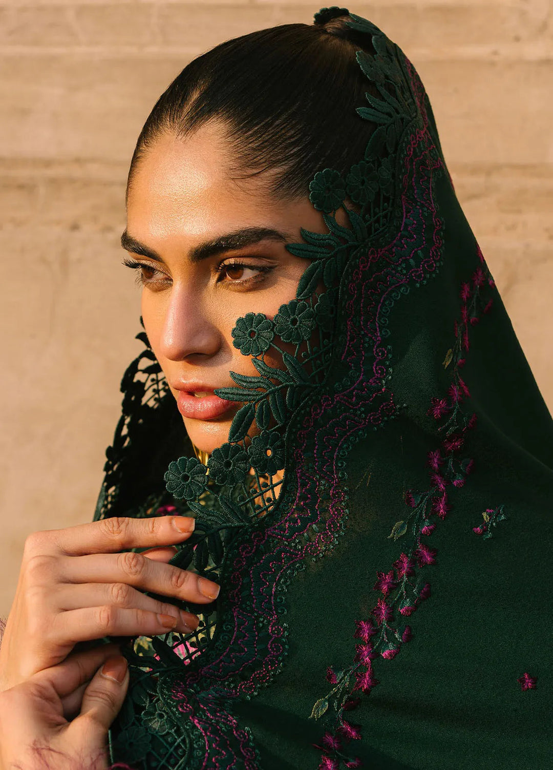 Gulabi Baagh by Bin Ilyas Embroidered Karandi Suit Unstitched 3 Piece BI24GB 152-B - Winter Collection