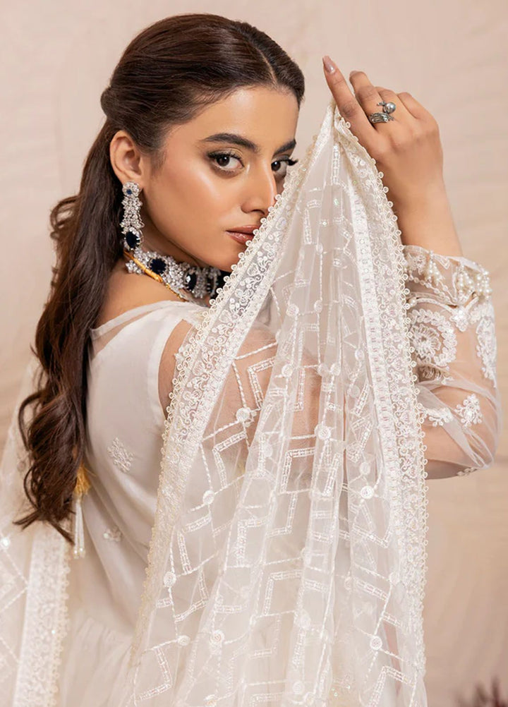 Gulmira By House Of Nawab Embroidered Net Suits Unstitched 3 Piece HON24G4 D-05 Taroob - Luxury Collection