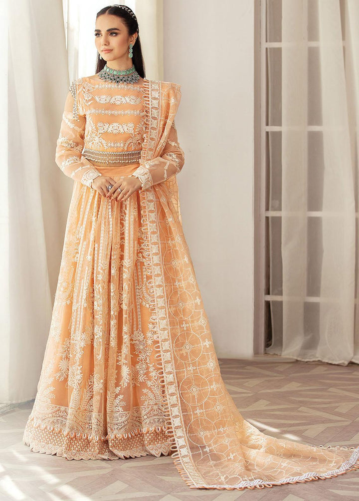 Gulmira By House of Nawab Embroidered Organza Suits Unstitched 3 Piece HON23G3 D-04 Meshki - Luxury Collection