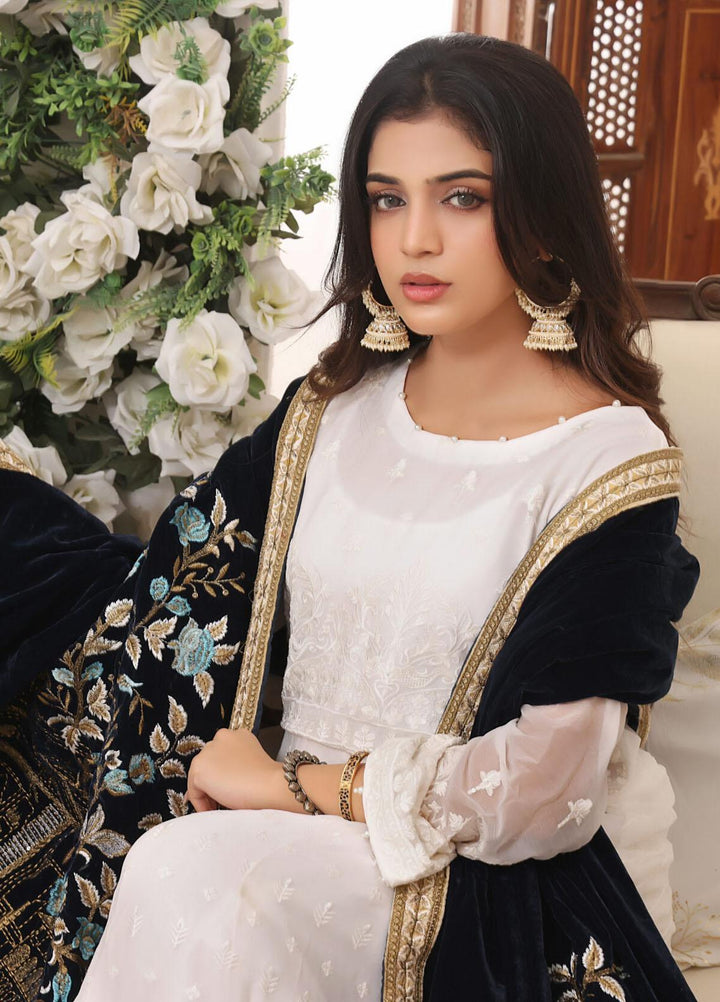 Hadia Eman Embroidered Chiffon Suits Unstitched 3 Piece HE23EV D-01 - Festive Collection