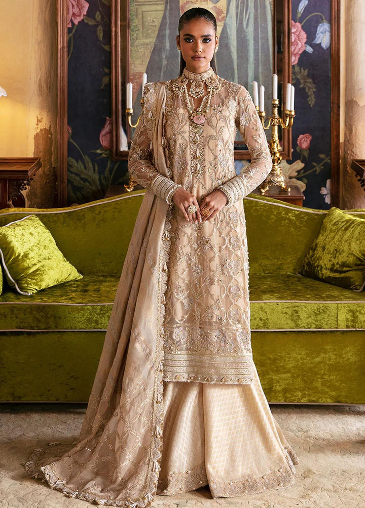 Hayat By Afrozeh Embroidered Net Suits Unstitched 3 Piece AF23HY D-01 Sabat - Wedding Collection
