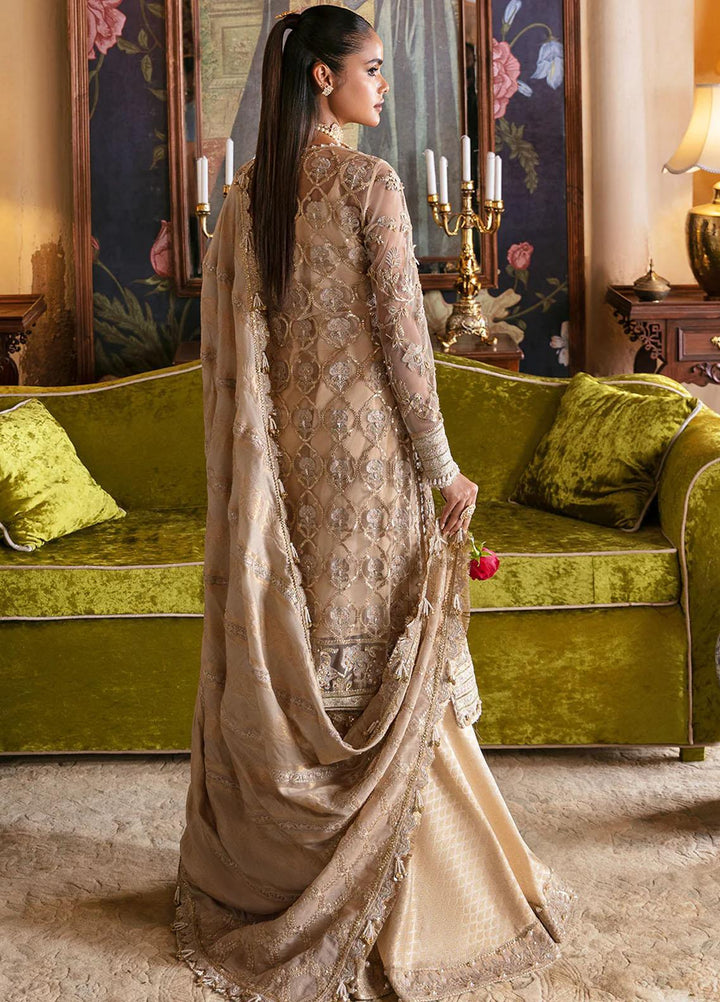 Hayat By Afrozeh Embroidered Net Suits Unstitched 3 Piece AF23HY D-01 Sabat - Wedding Collection