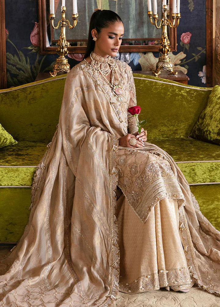 Hayat By Afrozeh Embroidered Net Suits Unstitched 3 Piece AF23HY D-01 Sabat - Wedding Collection