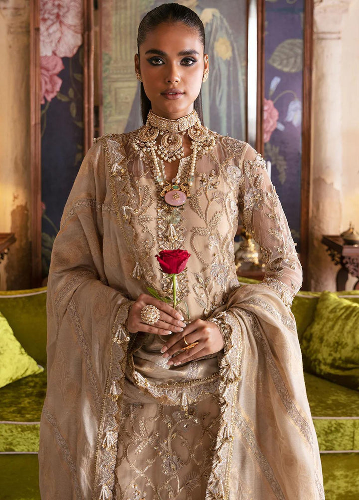 Hayat By Afrozeh Embroidered Net Suits Unstitched 3 Piece AF23HY D-01 Sabat - Wedding Collection