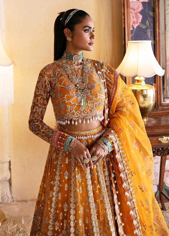 Hayat By Afrozeh Embroidered Net Suits Unstitched 3 Piece AF23HY D-02 Kamila - Wedding Collection