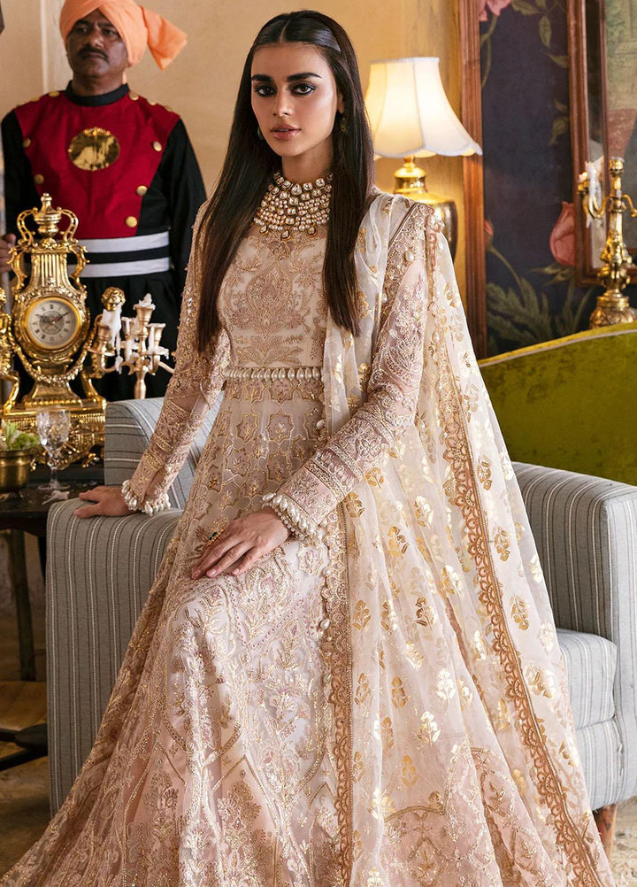 Hayat By Afrozeh Embroidered Net Suits Unstitched 3 Piece AF23HY D-03 Sheemah - Wedding Collection