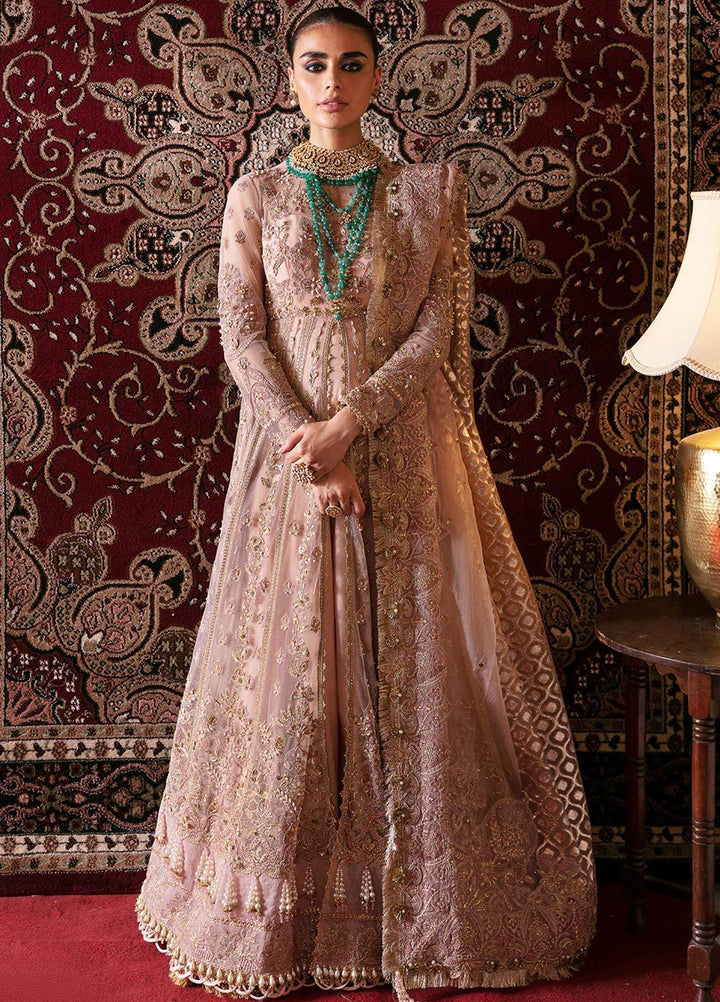 Hayat By Afrozeh Embroidered Net Suits Unstitched 3 Piece AF23HY D-06 Rubab - Wedding Collection