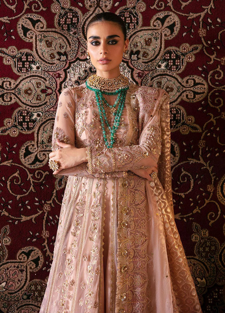 Hayat By Afrozeh Embroidered Net Suits Unstitched 3 Piece AF23HY D-06 Rubab - Wedding Collection