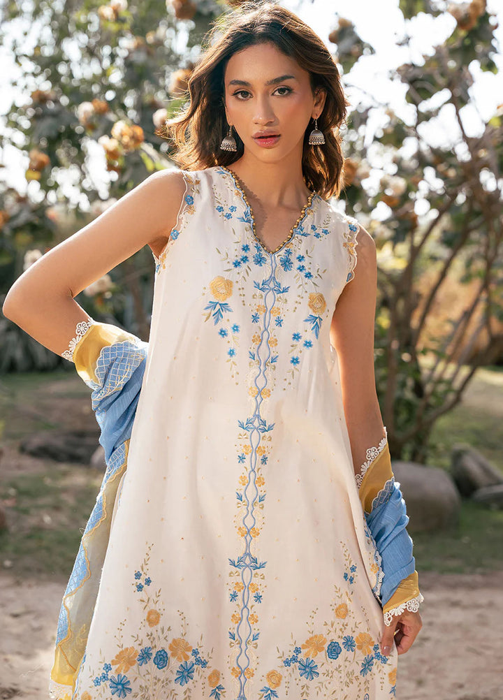 Hazel by Bin Ilyas Embroidered Lawn Suits Unstitched 3 Piece BI25HZ 2078B - Summer Collection