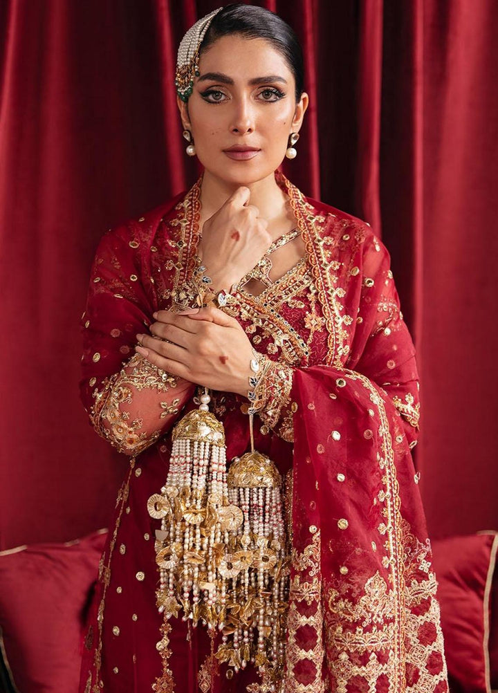 Heer Ranjha By Qalamkar Embroidered Net Suits Unstitched 4 Piece QLM23HR Mehrunnisa - Luxury Formal Collection