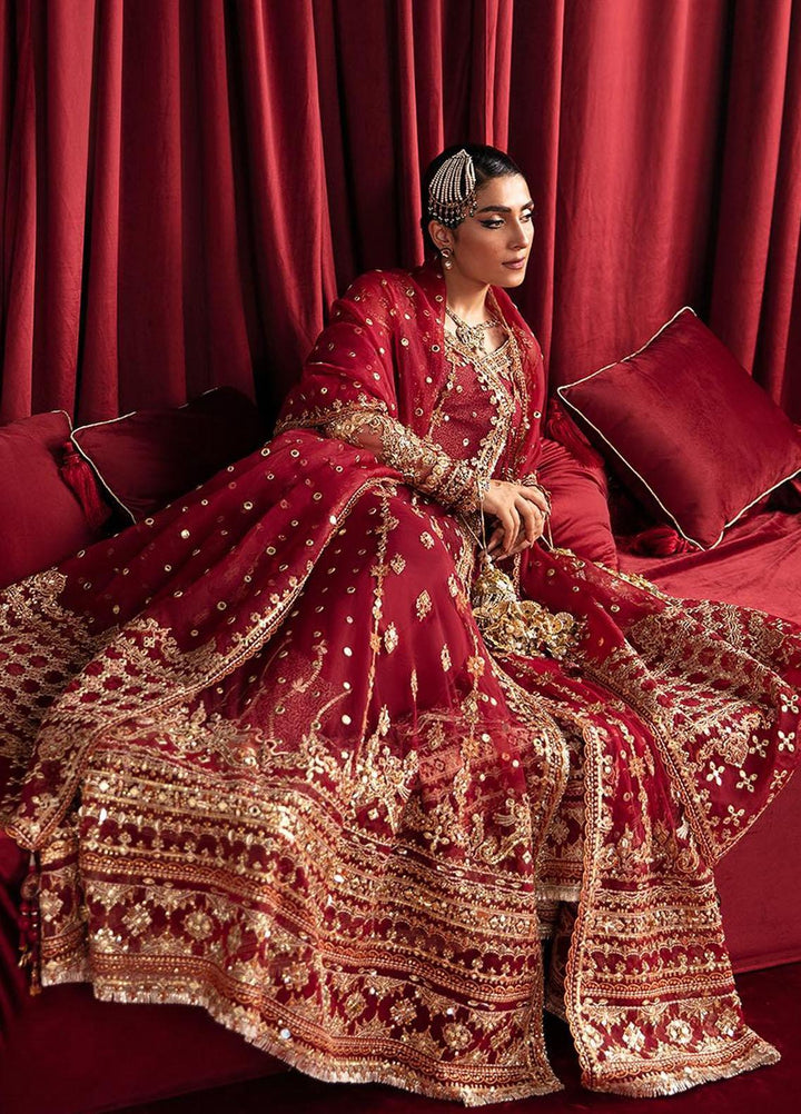 Heer Ranjha By Qalamkar Embroidered Net Suits Unstitched 4 Piece QLM23HR Mehrunnisa - Luxury Formal Collection