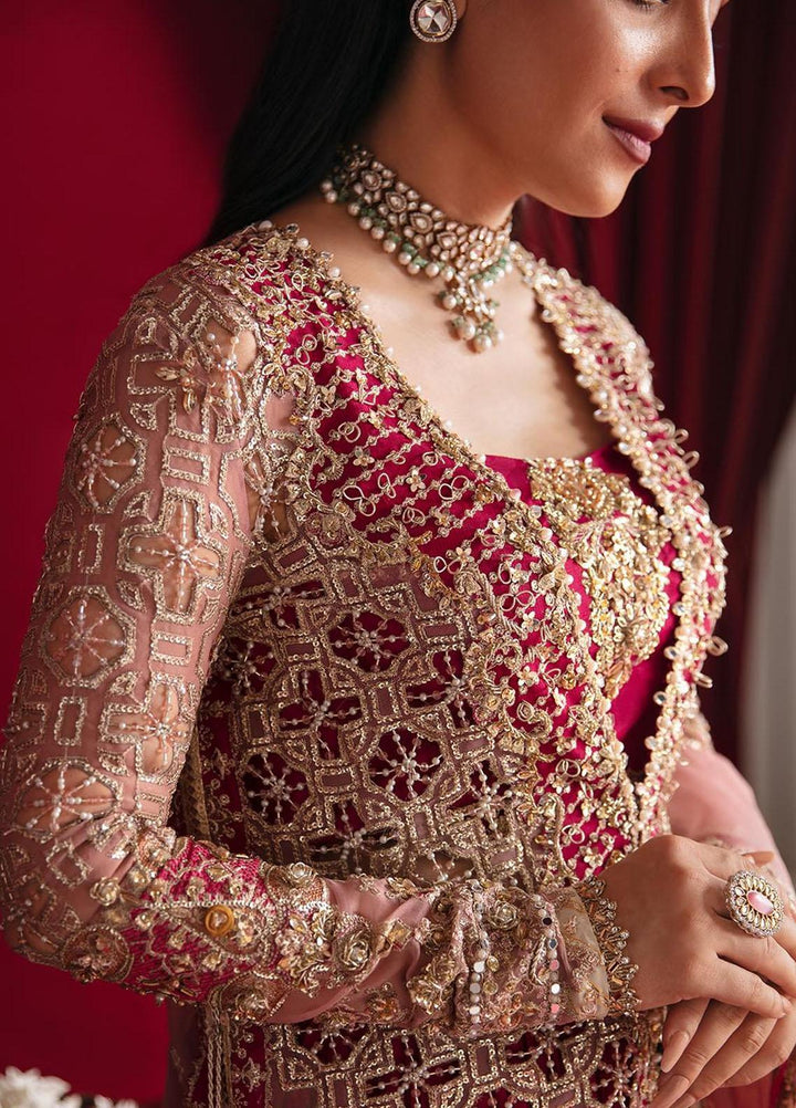 Heer Ranjha By Qalamkar Embroidered Organza Suits Unstitched 4 Piece QLM23HR Arisha - Luxury Formal Collection