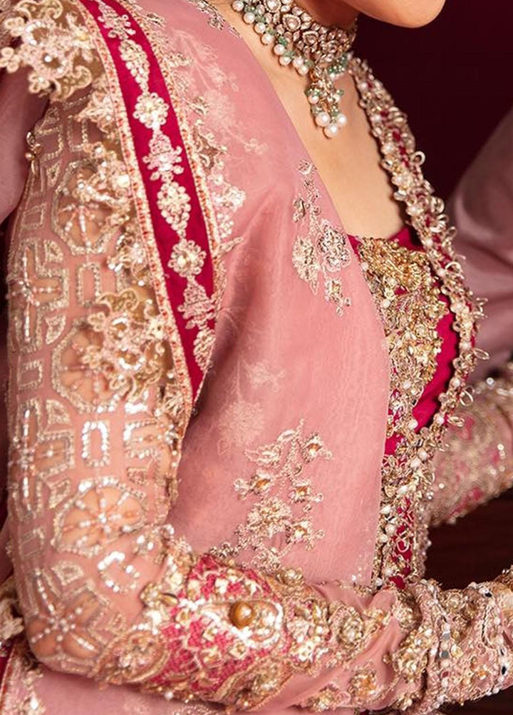 Heer Ranjha By Qalamkar Embroidered Organza Suits Unstitched 4 Piece QLM23HR Arisha - Luxury Formal Collection