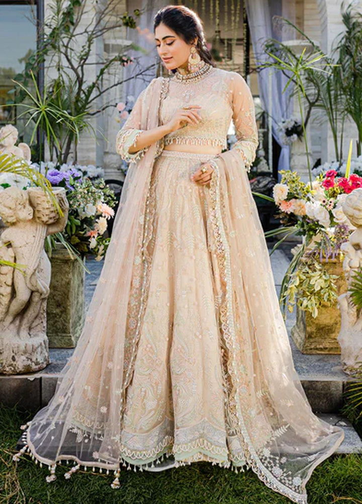 Heeriye By Izel Embroidered Net Suits Unstitched 4 Piece IZL23HR HF-1067 Jhoom - Festive Collection