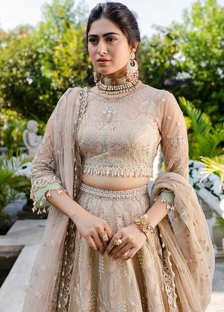 Heeriye By Izel Embroidered Net Suits Unstitched 4 Piece IZL23HR HF-1067 Jhoom - Festive Collection