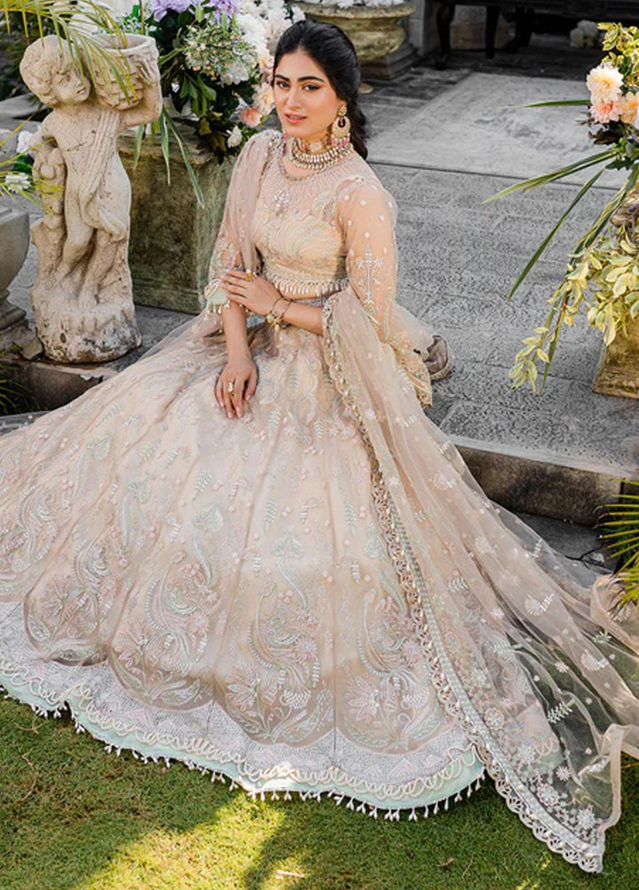 Heeriye By Izel Embroidered Net Suits Unstitched 4 Piece IZL23HR HF-1067 Jhoom - Festive Collection