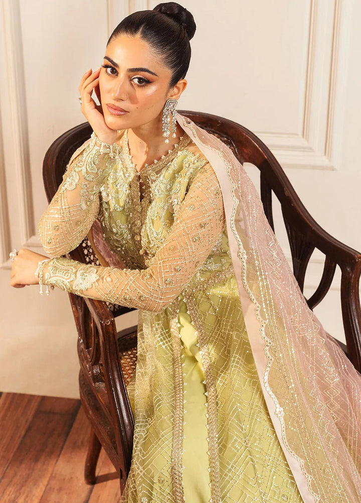 Hemline By Mushq Embroidered Suit Unstitched 3 Piece MQ24HA D-02 Wasabi - Formal Collection