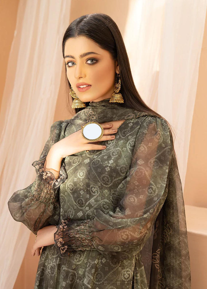 HemStitch Luxury Pret  Chiffon 3 Piece Suit Alizeh