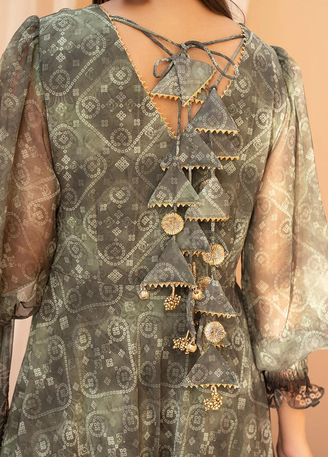 HemStitch Luxury Pret  Chiffon 3 Piece Suit Alizeh