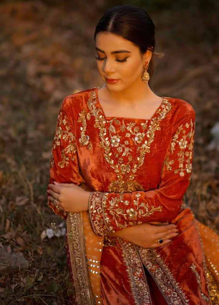 Hues Atelier Pret Embroidered Velvet 3 Piece Suit HA23LF French Dynasty