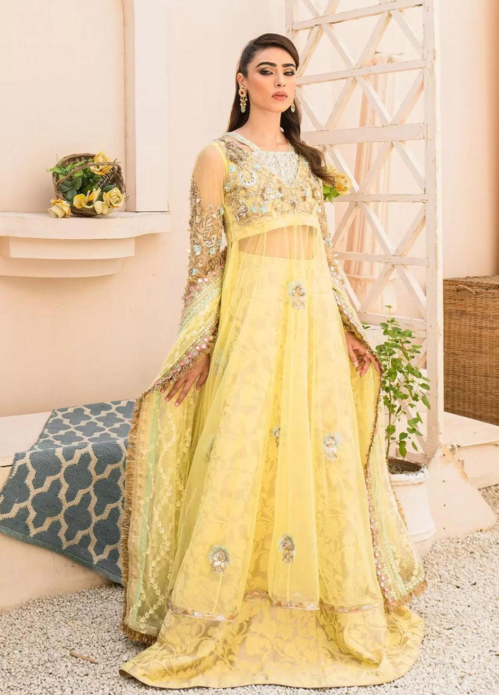 Hues Atelier Pret Embroidered Net 3 Piece Suit HA23LF Hennah