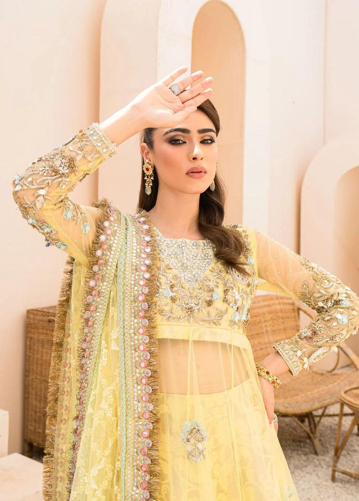 Hues Atelier Pret Embroidered Net 3 Piece Suit HA23LF Hennah