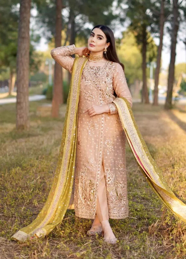 Hues Atelier Pret Embroidered Cotton Net 3 Piece Suit HA23LF Lucknowy Angrakha