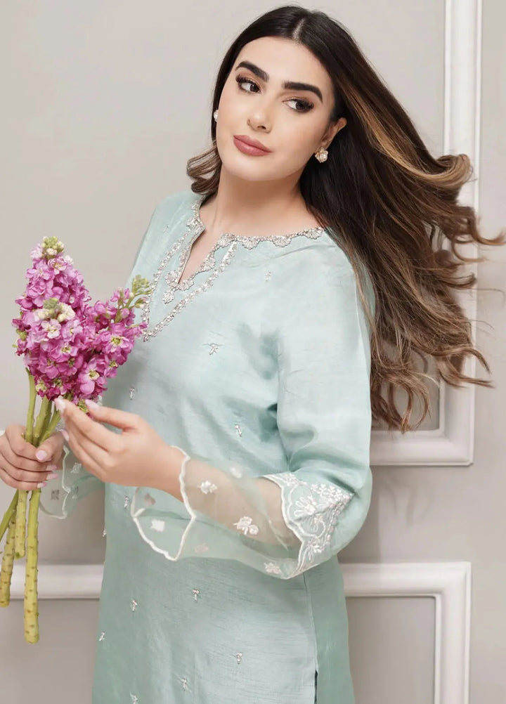 Hues Atelier Pret Embroidered Korean Rawsilk 3 Piece Suit Pale Green Fit