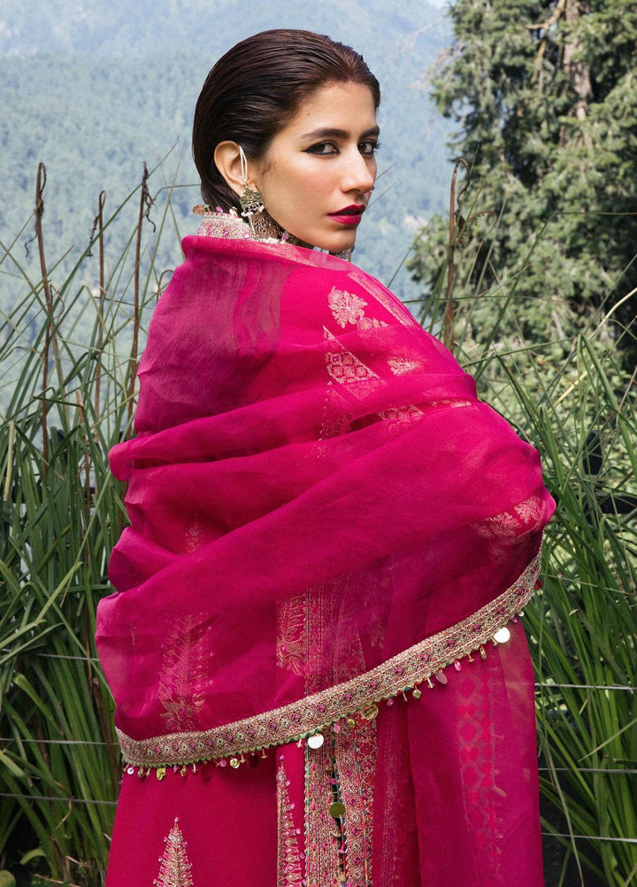 Hussain Rehar Embroidered Karandi Suits Unstitched 3 Piece HRR22AW Kanval - Winter Collection