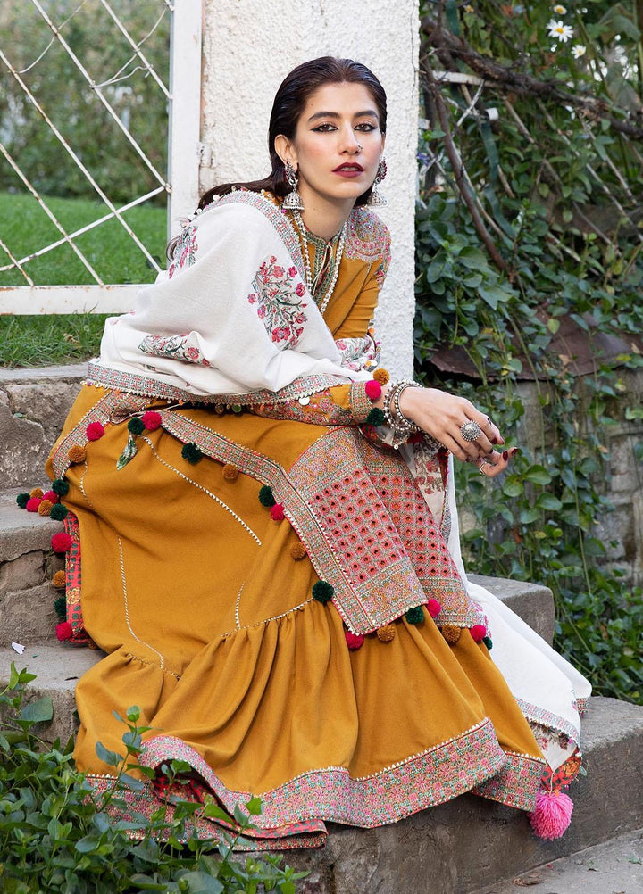 Hussain Rehar Embroidered Karandi Suits Unstitched 3 Piece HRR22AW Paras - Winter Collection