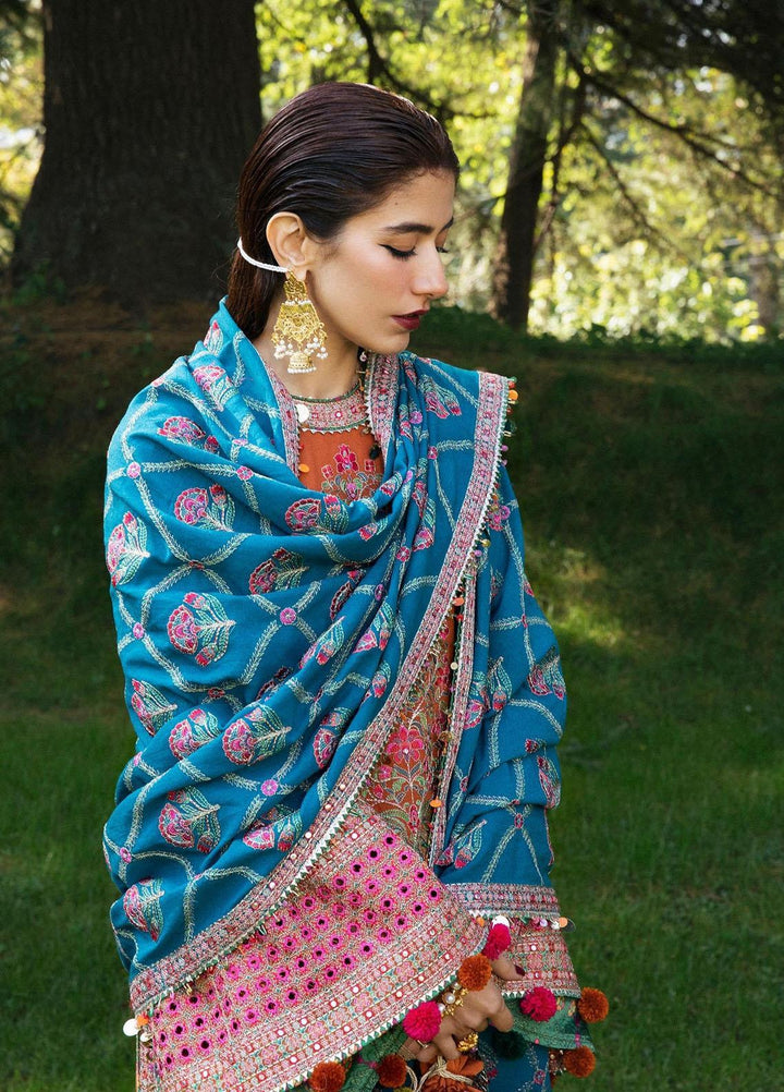 Hussain Rehar Embroidered Karandi Suits Unstitched 3 Piece HRR22AW Ziya - Winter Collection