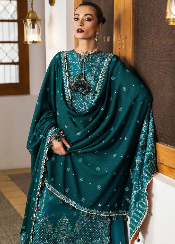 Hussain Rehar Embroidered Karandi Suit Unstitched 3 Piece HRR24W Durk - Winter Collection