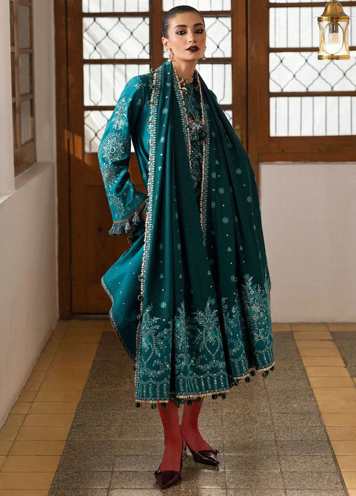 Hussain Rehar Embroidered Karandi Suit Unstitched 3 Piece HRR24W Durk - Winter Collection