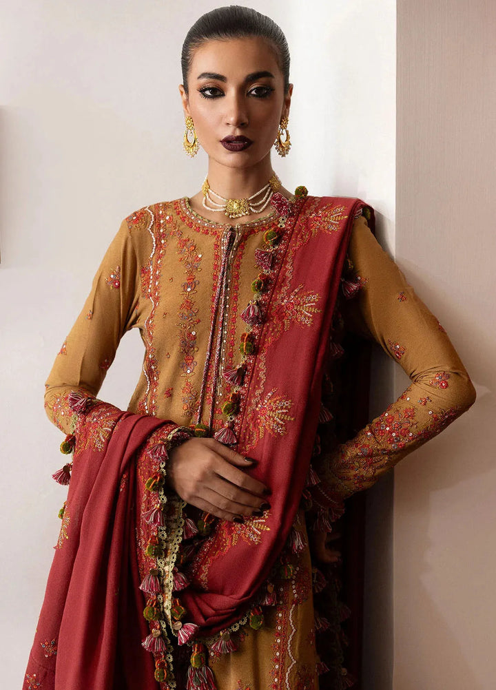 Hussain Rehar Embroidered Karandi Suit Unstitched 3 Piece HRR24W Tawn - Winter Collection