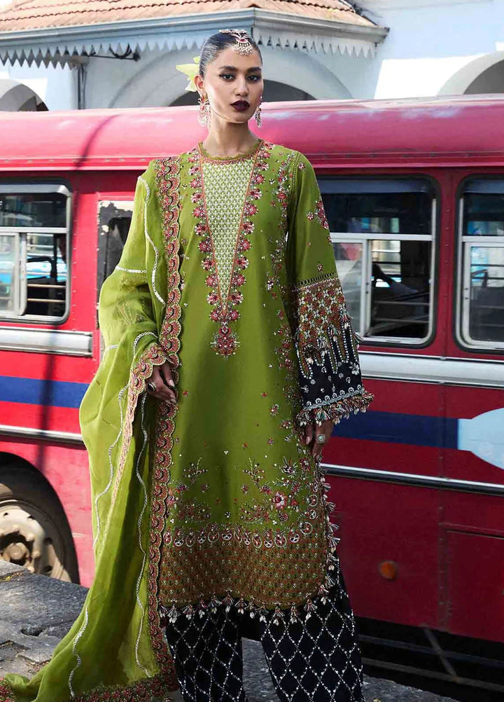 Hussain Rehar Embroidered Lawn Suit Unstitched 3 Piece HRR25LL D-01 Abass - Summer Collection